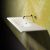 Catalano Sfera 100 COD 110SF00  100 x 48 