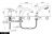 Nicolazzi Diamir 3514