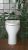 Catalano Muse wc bianco 53 COD VPMU  53 x 36