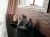Arbi Collezione Deco'9 200x50.8 cm