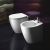 Catalano Velis Wc 50 COD VP50 - VP50BM  50 x 37