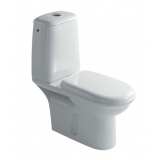 Galassia  Aster  8703